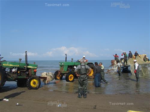 زهره اکبری : ماهیگیر ، تابستان 1392 ساحل ساری