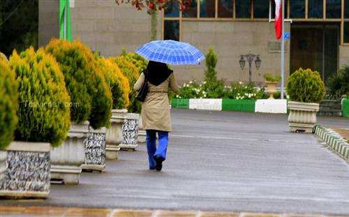 مجید اصغری : باران ، 