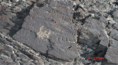 ساناز سلیمی : تخت سنگ تاریخی ، یک تخته سنگ با نقوش  بسیار کهن که طی سه مرحله چندین هزار ساله حک شده.
محل: کوه و دره های مقابل دژ تاریخی نوشینجان ملایر 