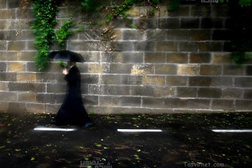 ارمان تیمور : پدر در باران ، رم 