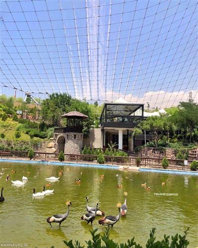 شبکه تصویر ( تصویرنت ) باغ پرندگان تهران