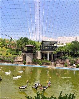 شبکه تصویر ( تصویرنت ) - باغ پرندگان تهران