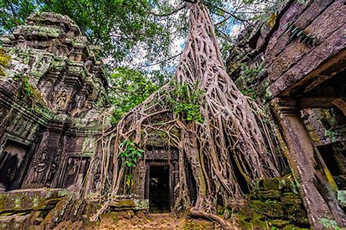 فریبا اسکندری : معبد تاپروهم ، 
نمای رو به رو  از معبد تاپروهم در حصار درختان، در بین گردشگرانی که به جنوب‌شرقی آسیا سفر می‌کنند، مجموعه‌ی آنگکور وات در کشور کامبوج از محبوبیت خاصی برخوردار است.