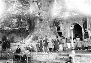 شبکه تصویر ( تصویرنت ) - درخت چنارامام زاده صالح تجریش تهران