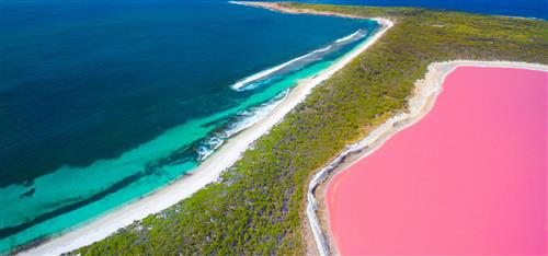 شبکه تصویر ( تصویرنت ) دریاچه هیلیر(دریاچه صورتی) استرالیا