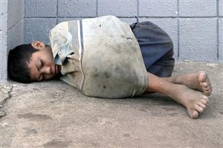 شبکه تصویر ( تصویرنت ) - کودک بی خانمان