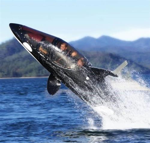 ژیلا نصیری : اسباب بازی بزرگسالان ،  نهنگِ زیردریایی یکی از گرانترین اسباب بازی بزرگسالان 100 هزار دلار قیمت دارد این اسباب بازی بسیار معروف یک زیردریایی دونفره است که ظاهری شبیه به یک نهنگ قاتل دارد. خلبان و مسافر این زیردریایی توسط یک تاج اکریلیک محافظت می شوند و به راننده ای که در کابین خلبان آن است این امکان را می دهد که در اعماق آب پایین رود و غوطه ور شود. این زیردریایی همانند یک هواپیما توسط دو اهرم فرود و پرواز کنترل می شود و امکان قدرت پرشی برابر با 16 فوت در آب را دارد. همچنین این شناور می تواند با سرعتی برابر با 50 مایل در ساعت در سطح آب و 25 مایل در ساعت در زیر آب حرکت کند.
