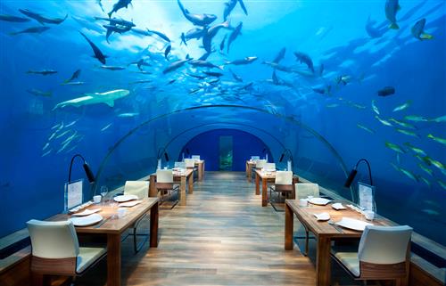 ژیلا نصیری : اولین رستوران شیشه ای  جهان در مالدیو ، نمایی از رستوران ایتها (Ithaa) در مالدیو که در زیر اقیانوس هند واقع شده است این رستوران ۵ متر پایین‌تر از سطح دریا  ساخته شده است و نمایی 360 درجه از زندگی دریایی را برای بازدیدکنندگان خود فراهم می‌کند.
