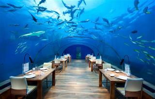 شبکه تصویر ( تصویرنت ) - اولین رستوران شیشه ای  جهان در مالدیو